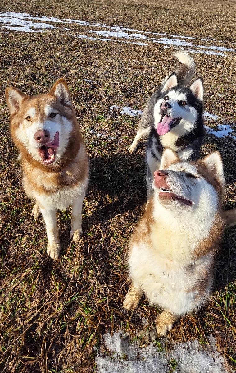 С Ждинни все в порядке,  кривляется просто😉