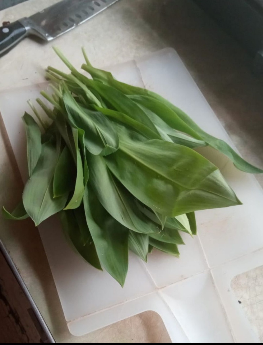 Пучок черемши, витамины пищат!