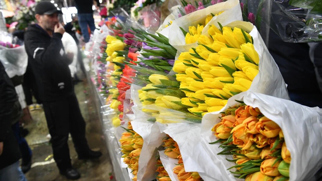    Фото: Komsomolskaya Pravda/Globallookpress