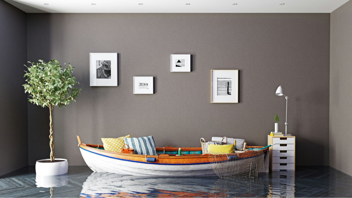 Страшный сон любого домовладельца