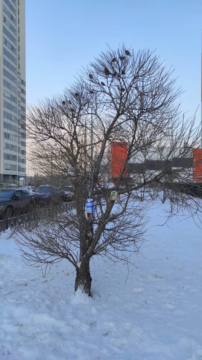 Вот и чего им не нужно было?