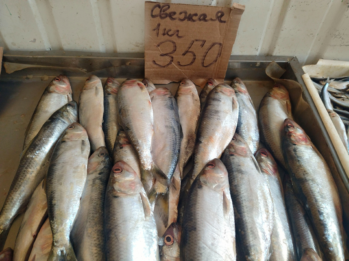 Цена на начало 2025 года. Фото сделано 7 марта в Керчи. 