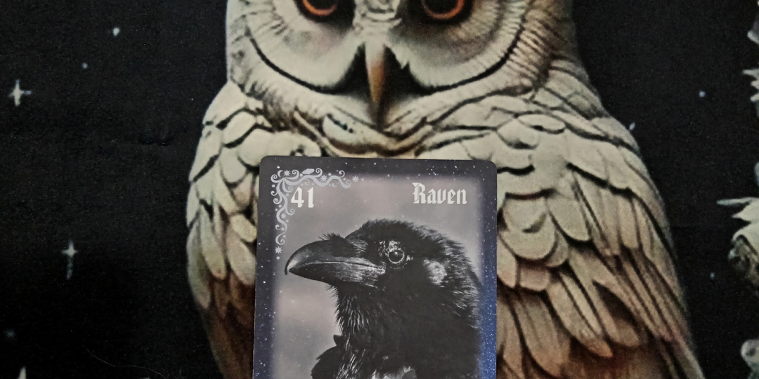 СОВЕТ НА ДЕНЬ