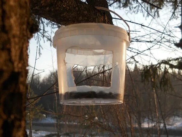 Правообладатель фото: Яндекс Картинки