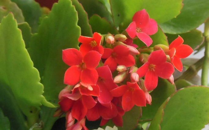 фото автора канала