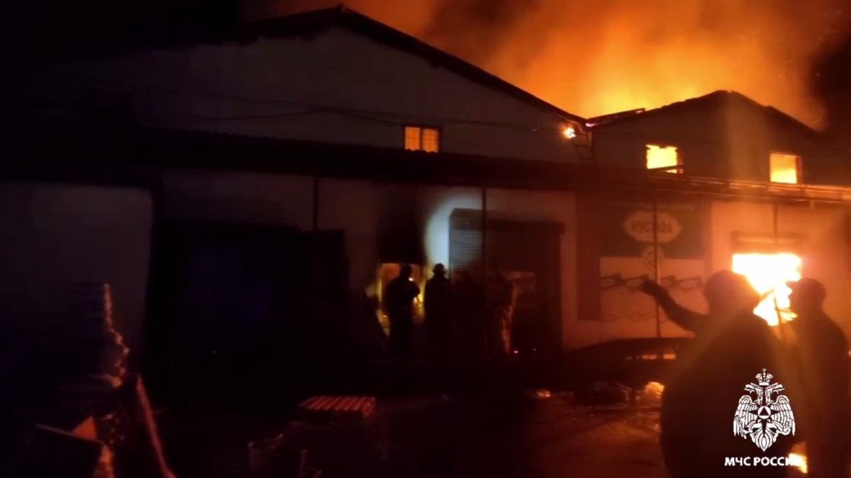    Фото: стоп-кадр видео от пресс-службы МЧС России