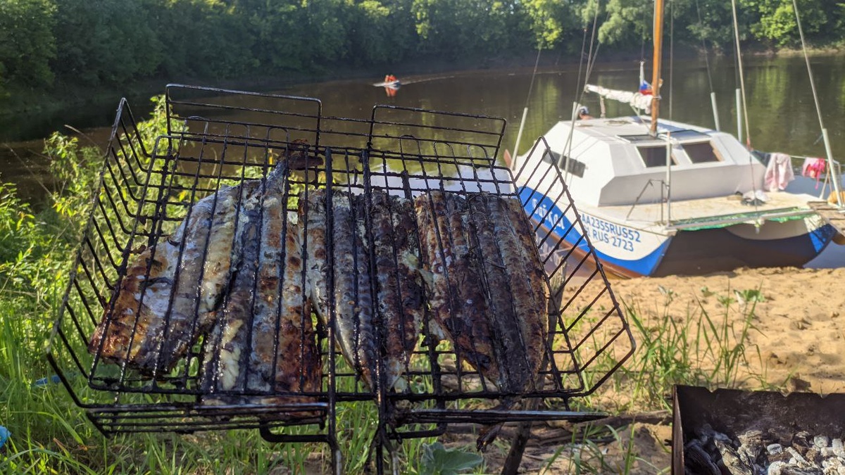 Скумбрия на углях. Фото пряжных карасей не сохранилось, а зря. 