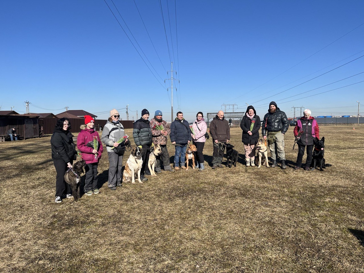 В кинологическом центре «Атаман» состоялись занятия по дрессировке собак