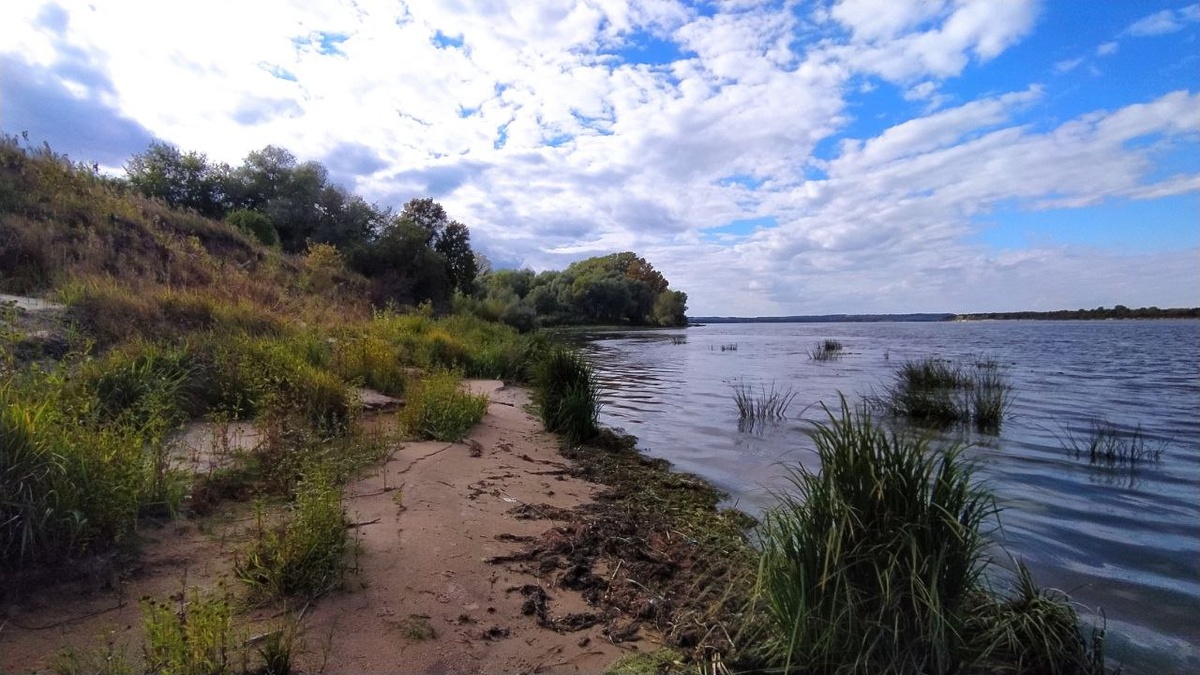 Берег Волги