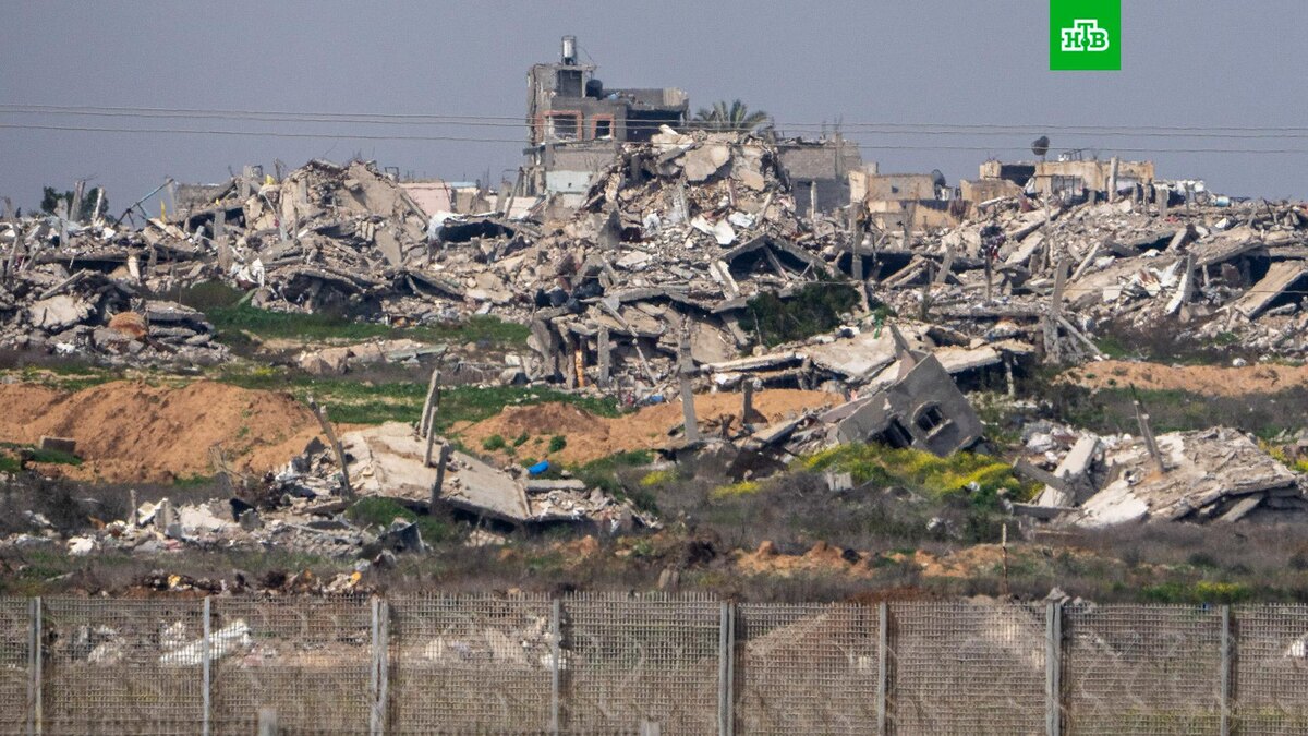    Фото: Associated Press © 2025, Ariel Schalit