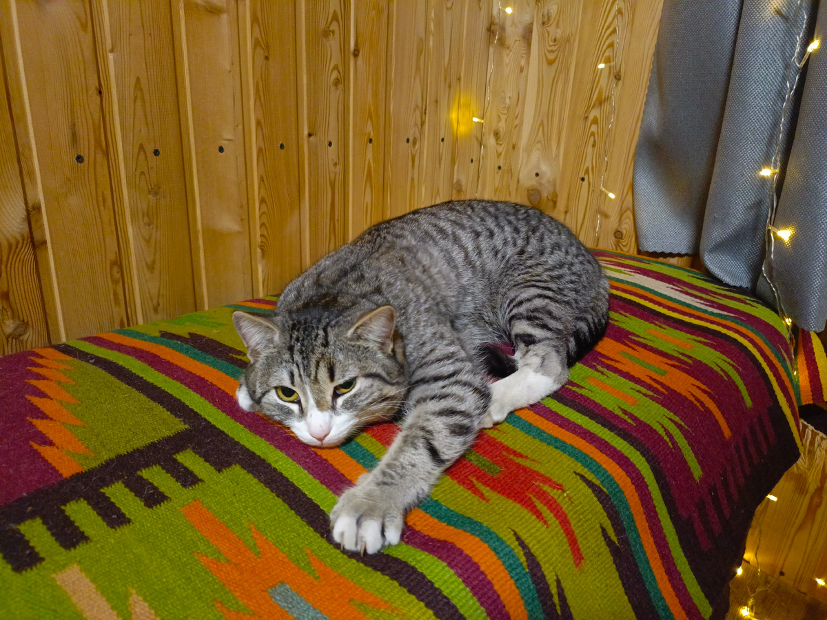 Один уже со смены ночной пришёл. Отлёживается. 😁