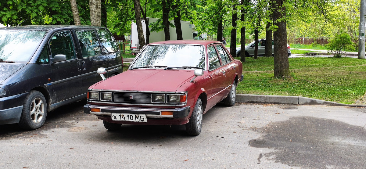 Фото имеет иллюстративный характер / grodno24.com