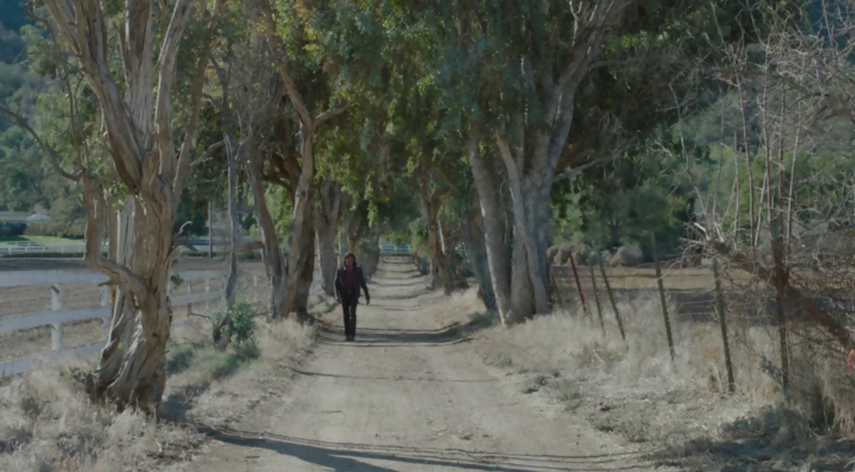 Кадр из сериала "Твин Пикс" 