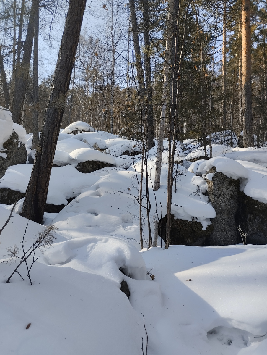 В лесу еще зима