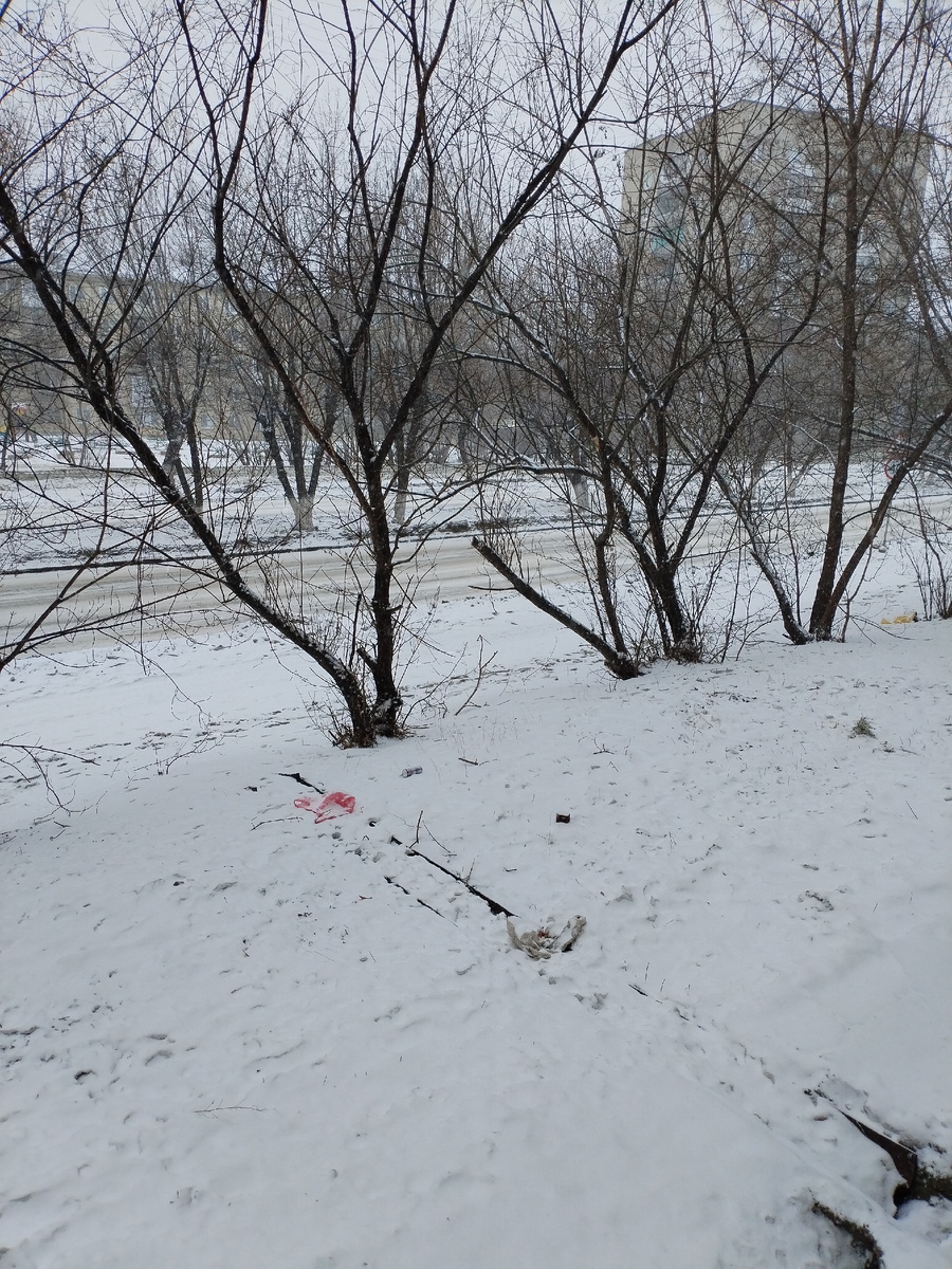 Это у нас сегодня