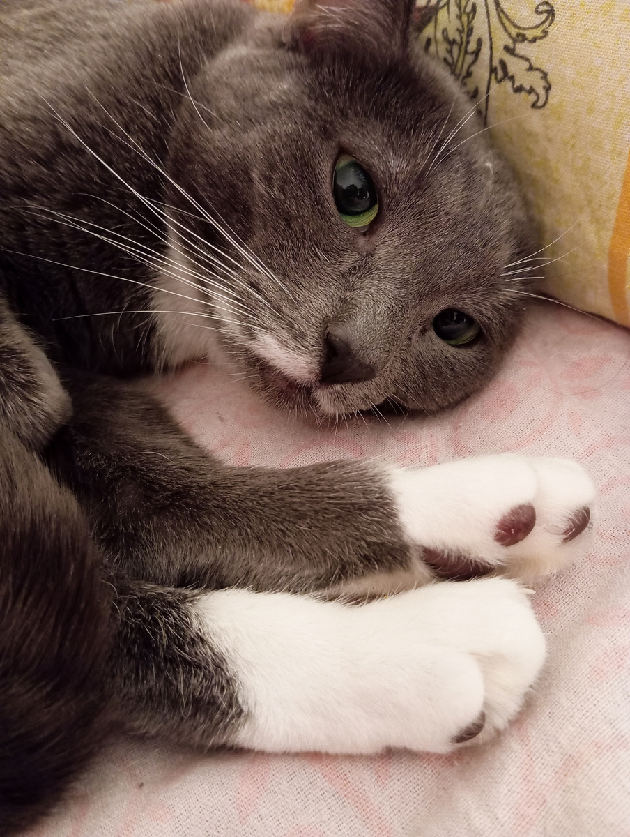 Личное фото автора канала 