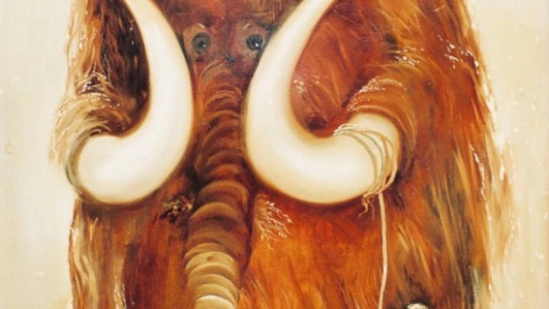     Мой друг Мамонт. Юрий Иванов