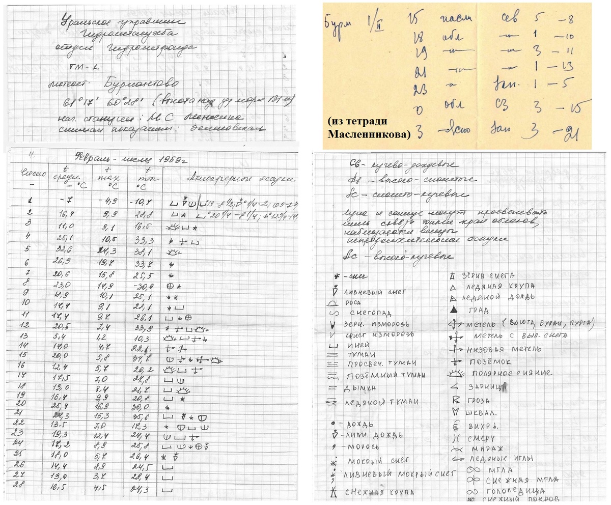Коллаж метеоданных