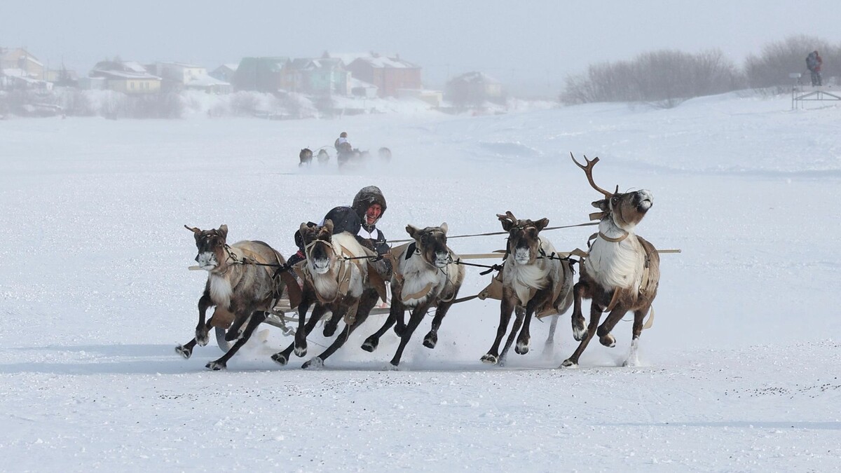    Фото: Андрей Ткачев/«Ямал-Медиа»