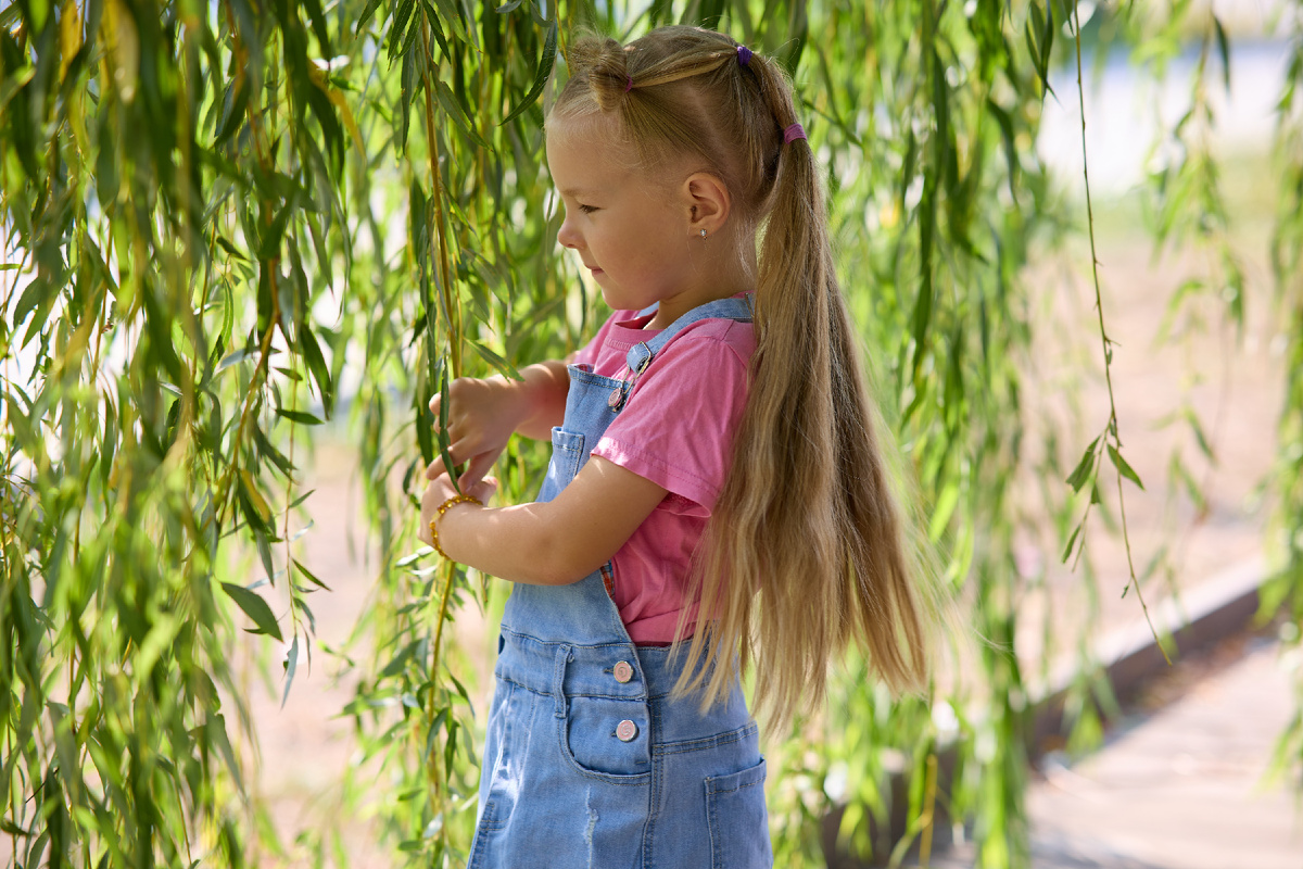Среди миллиона наших фото не нашла именно тех деревьев, но Злата с местной ивой.