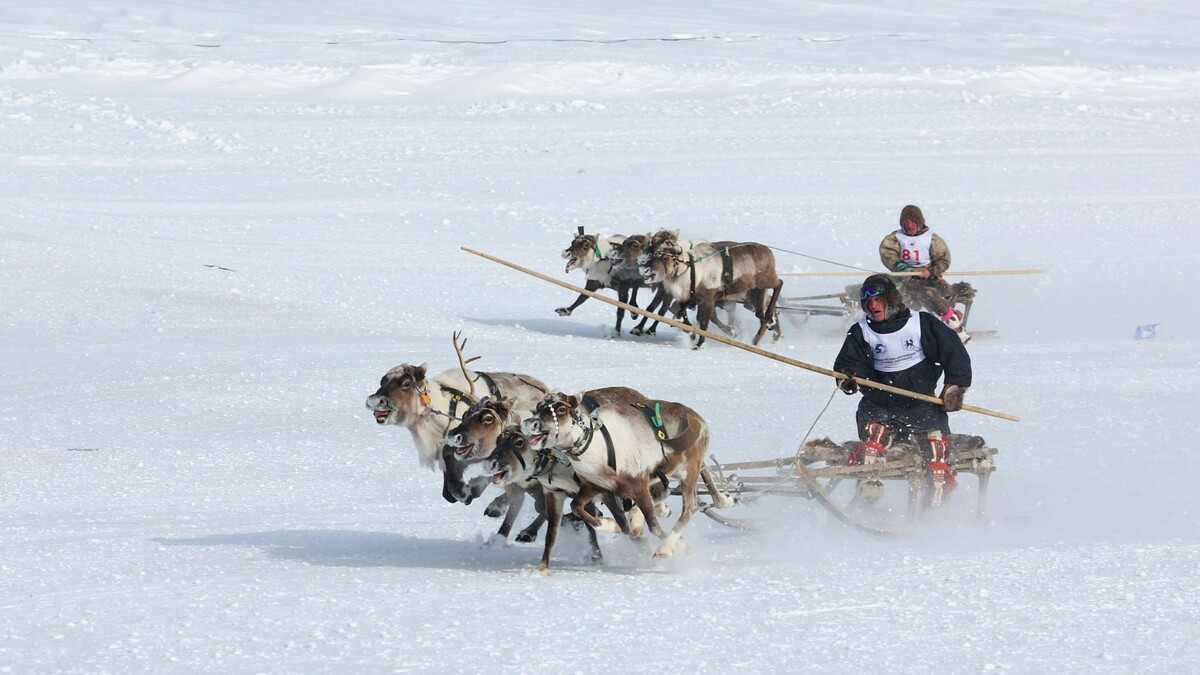    Фото: Андрей Ткачев/«Ямал-Медиа»