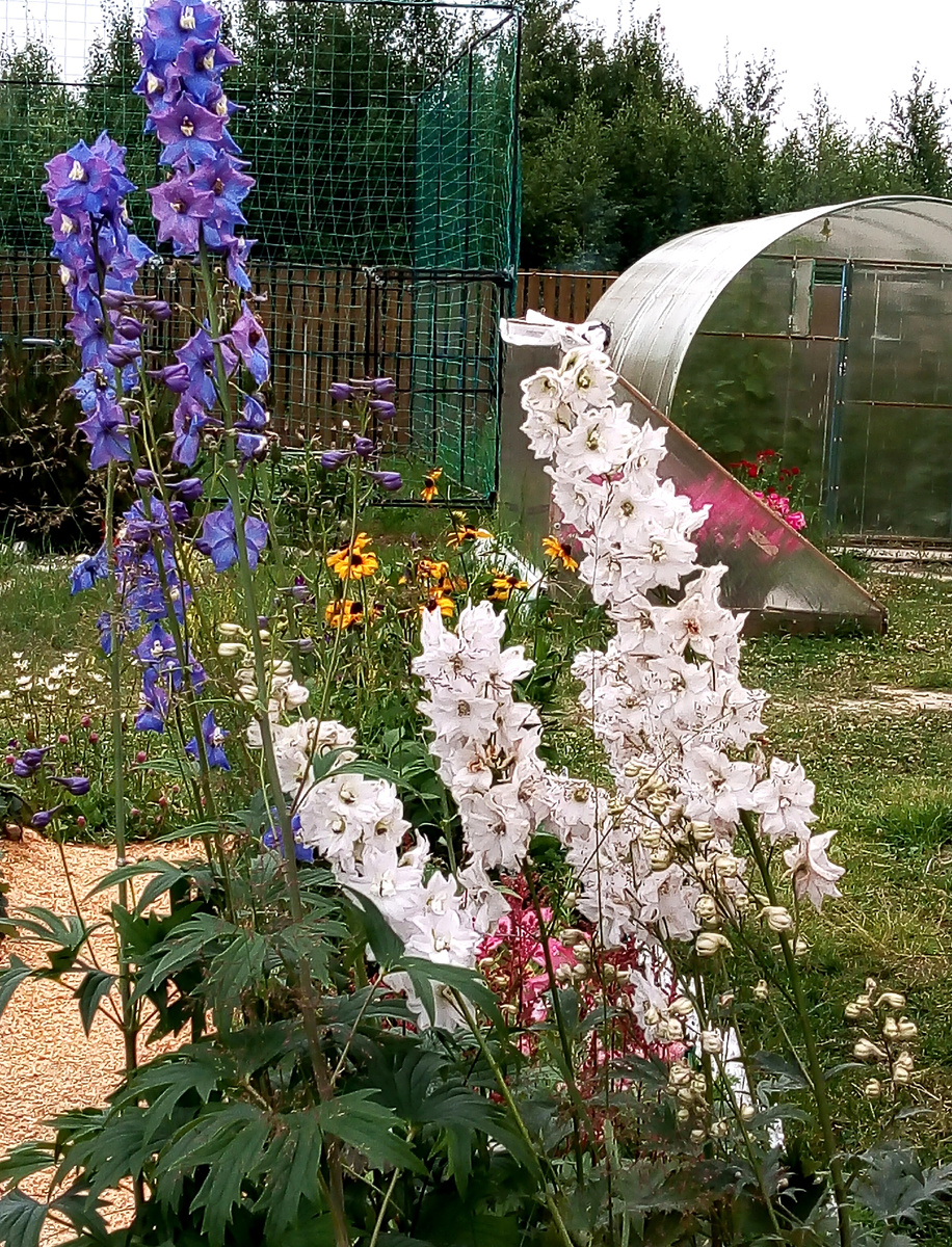 Фото из личного архива автора. 