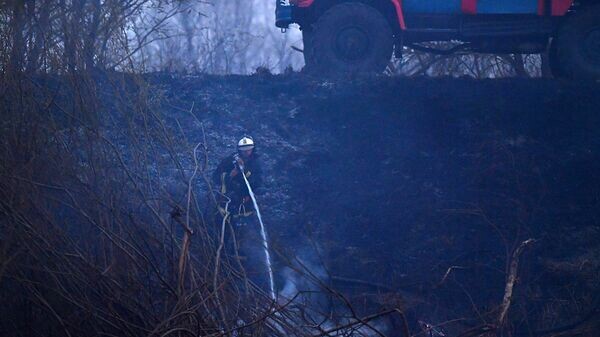    © Sputnik / Виктор Веткин