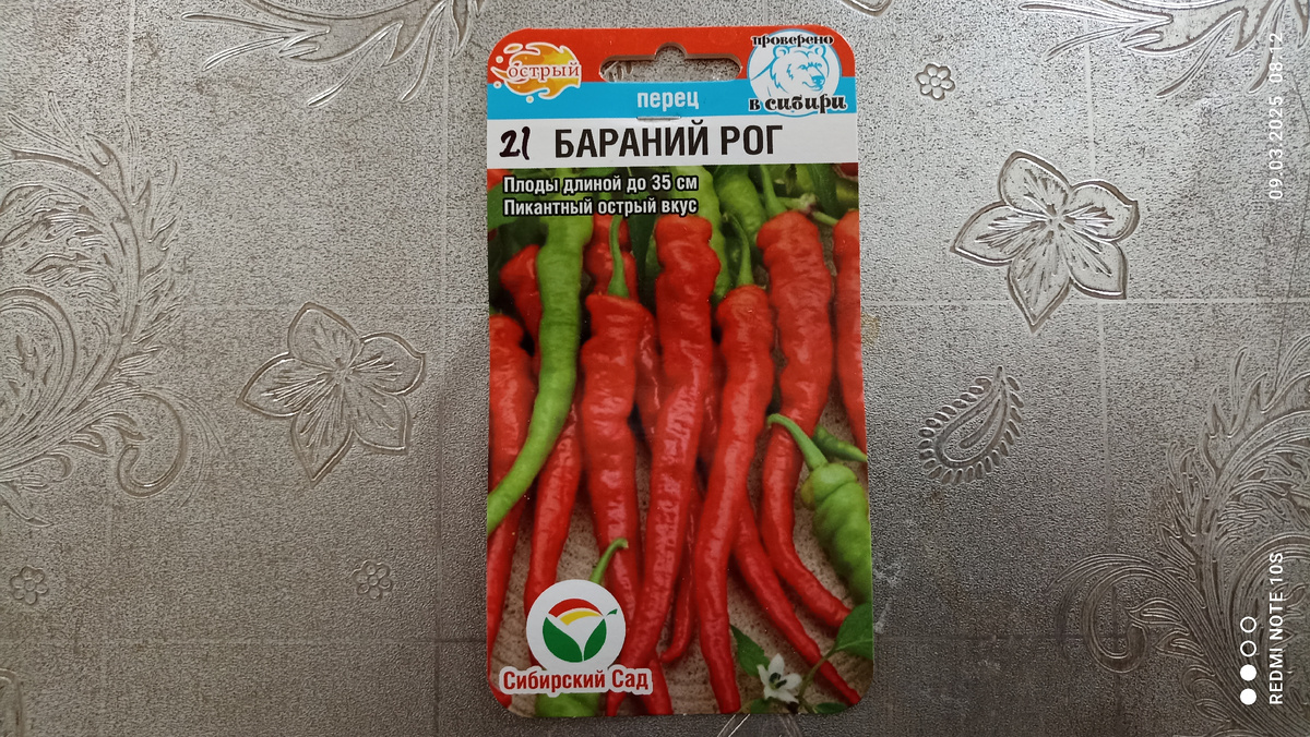 Перец острый ,, Бараний рог. ,, Фото автора.