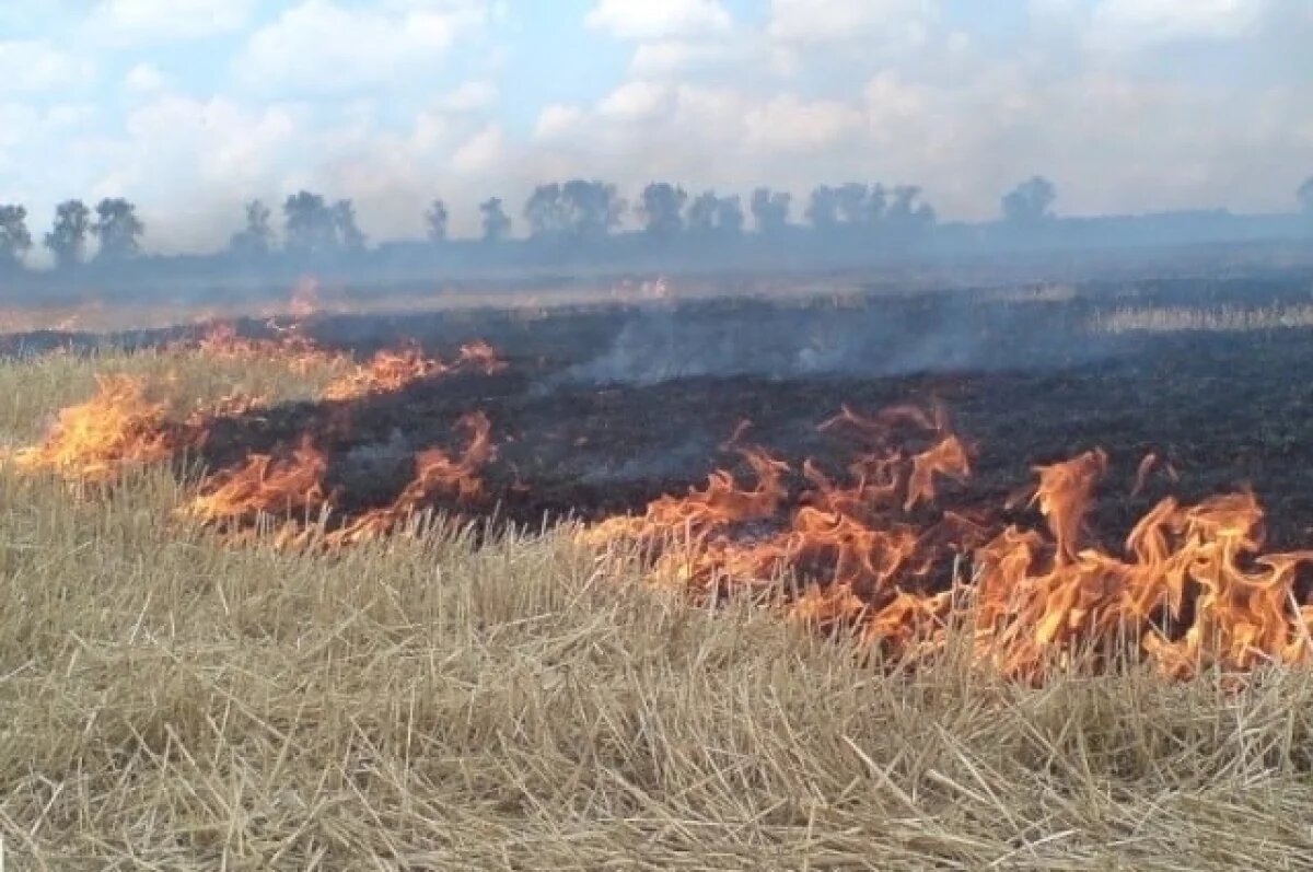    В Брянской области за сутки зарегистрировали 32 пожара