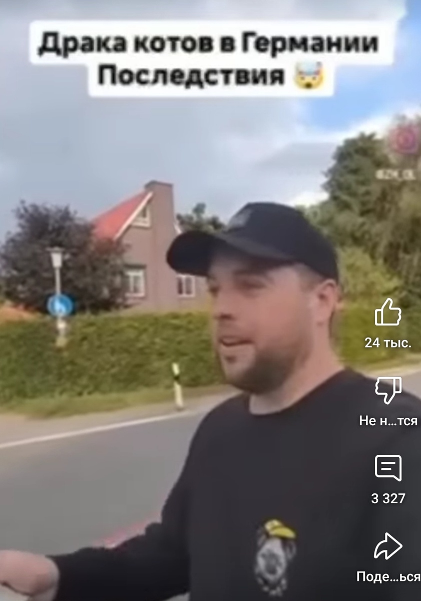 Хозяина привлекают за драку двух котов. Германия.