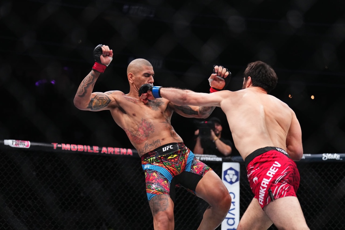     Алекс Перейра и Магомед Анкалаев