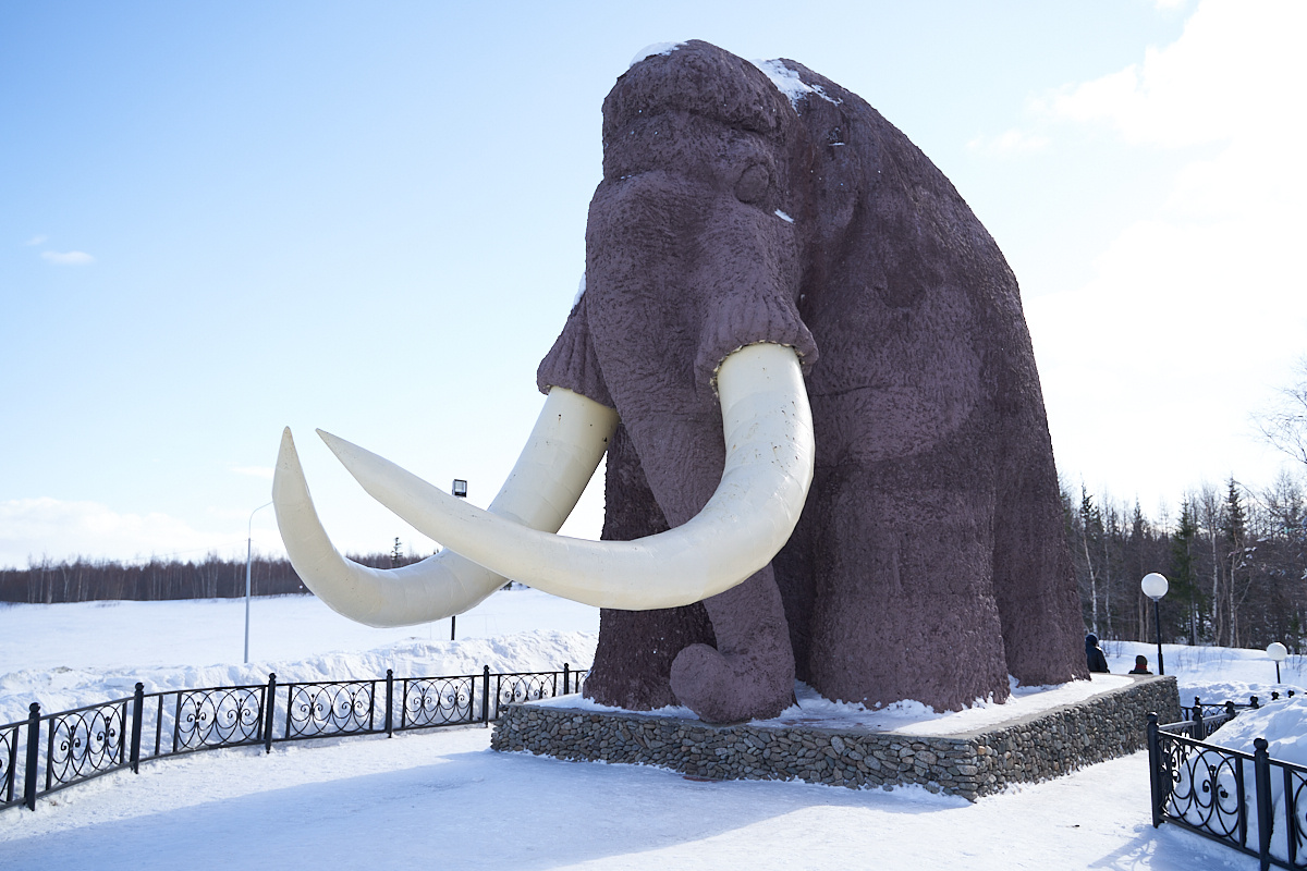    Фото: Лидия Аникина