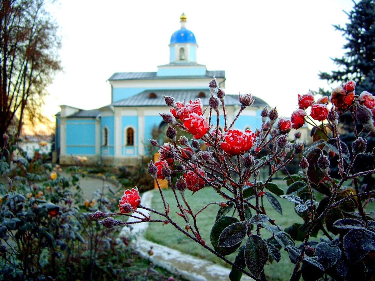 Оптина пустынь. Фото Сергея Михеева 