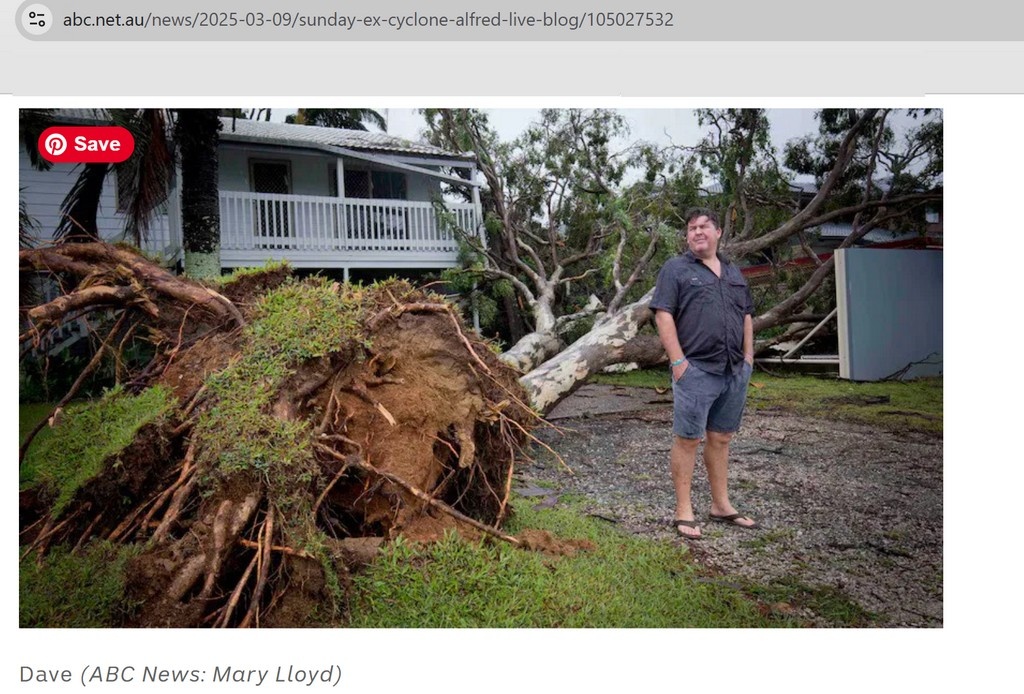 Эпизод из АВС-ньюз