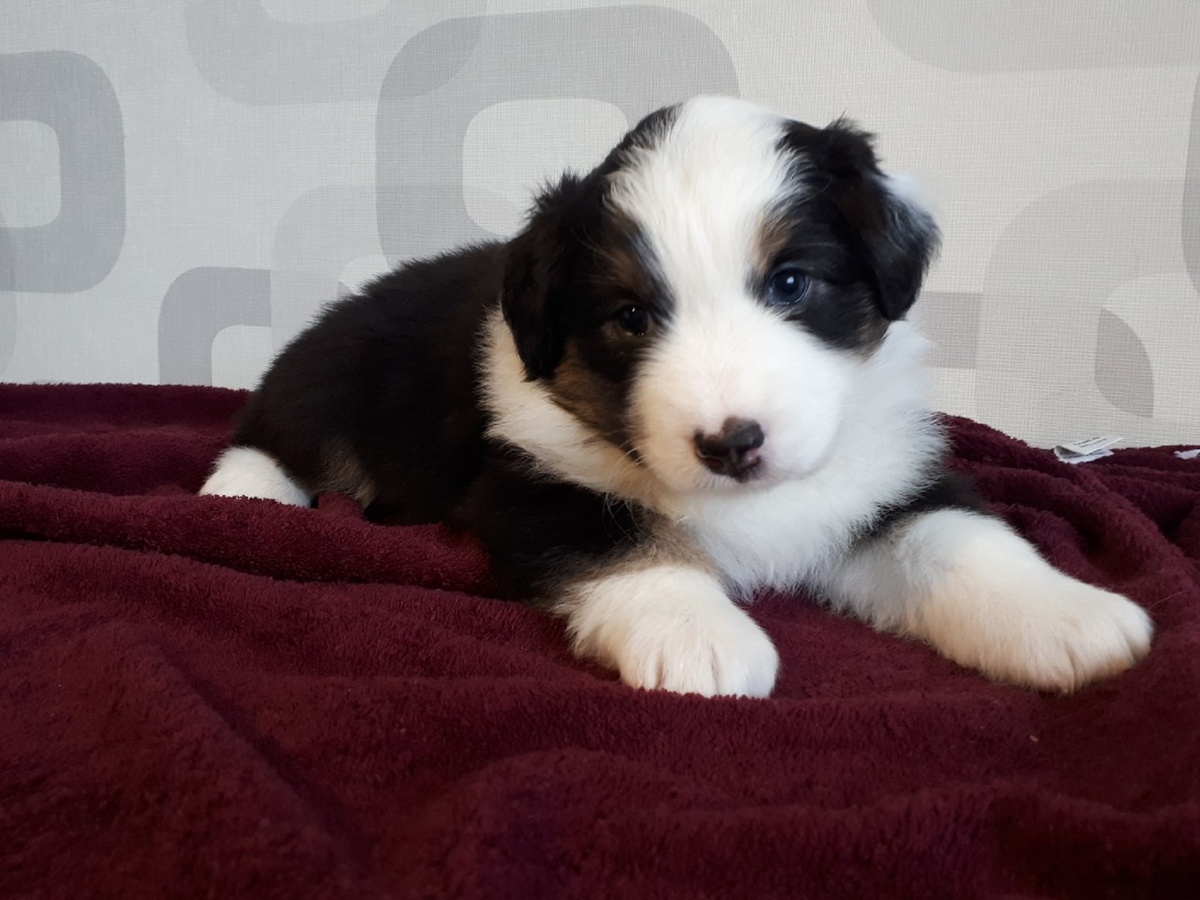 Растет моя Тайна