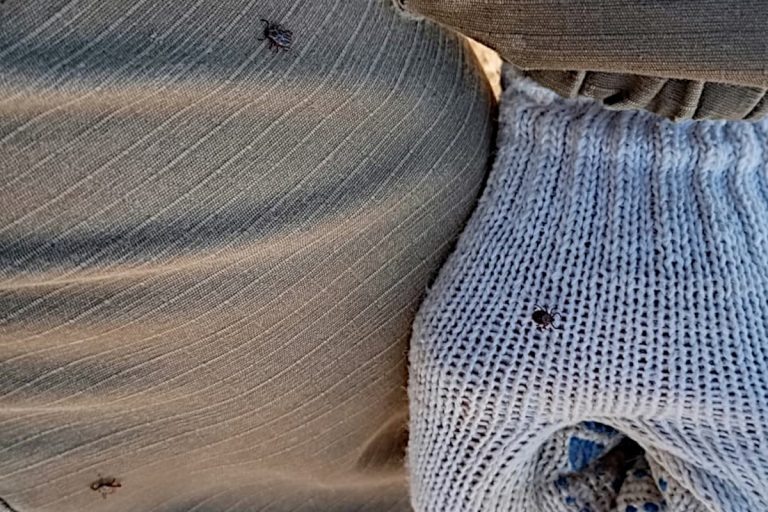    Фото – поисковый отряд «Витязь».