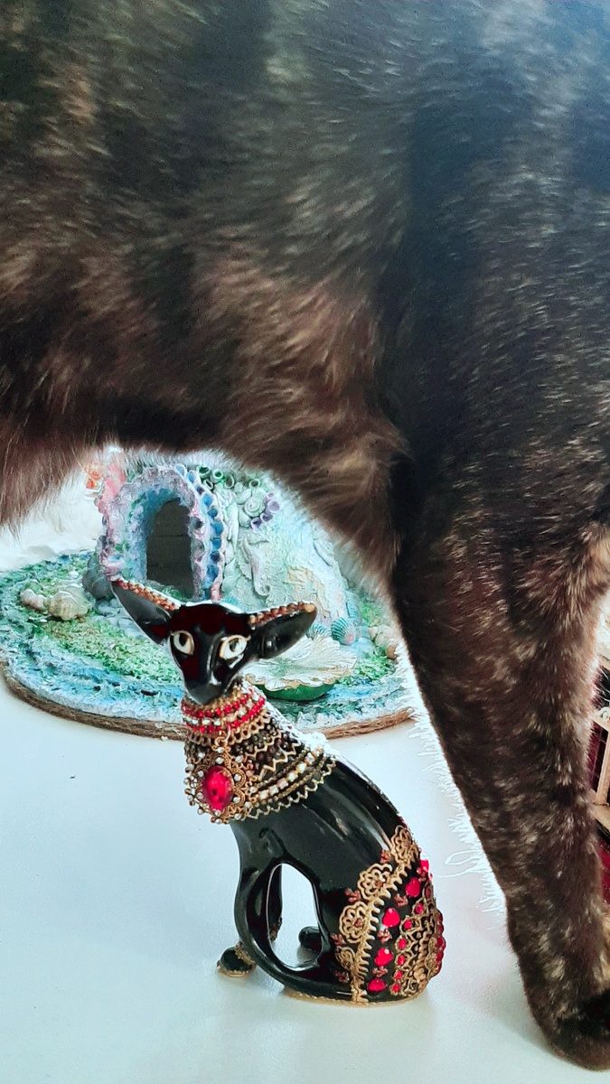 Вот так можно ходить?