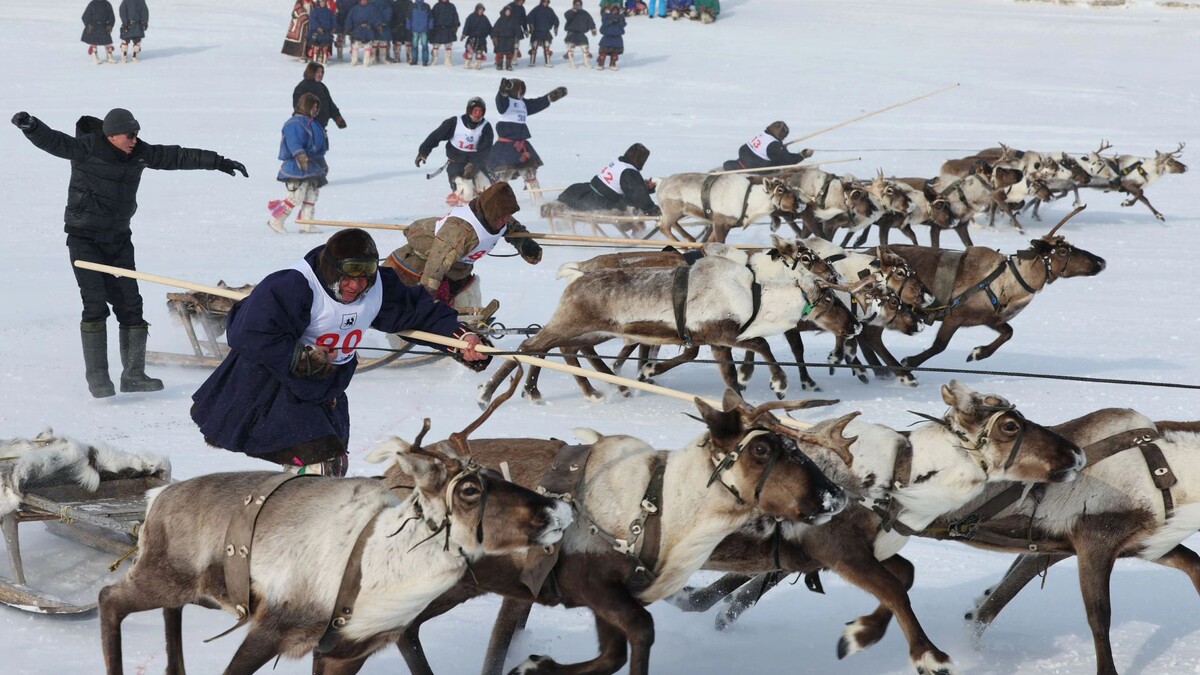    Фото: Андрей Ткачев/«Ямал-Медиа»