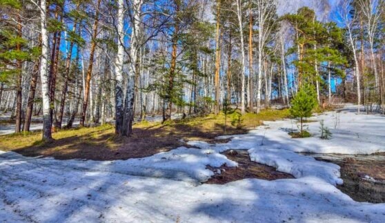    Четвертый день рекордного тепла ждет Европейскую Россию ©Shutterstock/Fotodom