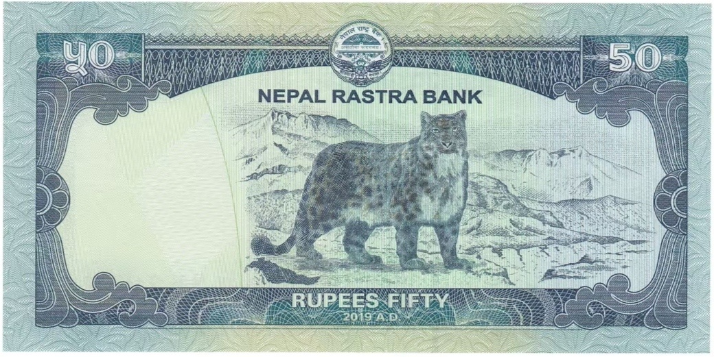 Снежные барсики роскошны и на казахстанских тенге, и на непальских, как в данном случае, рупиях (оборотная сторона непальской купюры 2019 года выпуска номиналом в 50 рупий)