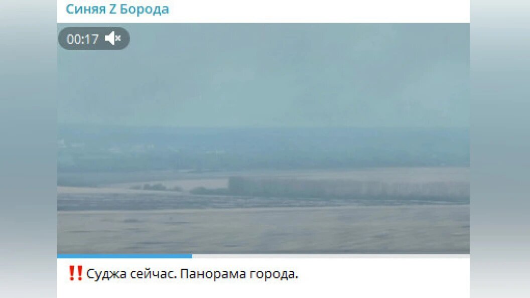    ФОТО: кадр видео t.me/beard_tim