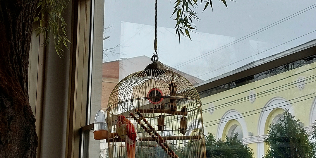 "Всё есть, а счастья нет": как достижение целей привело к депрессии