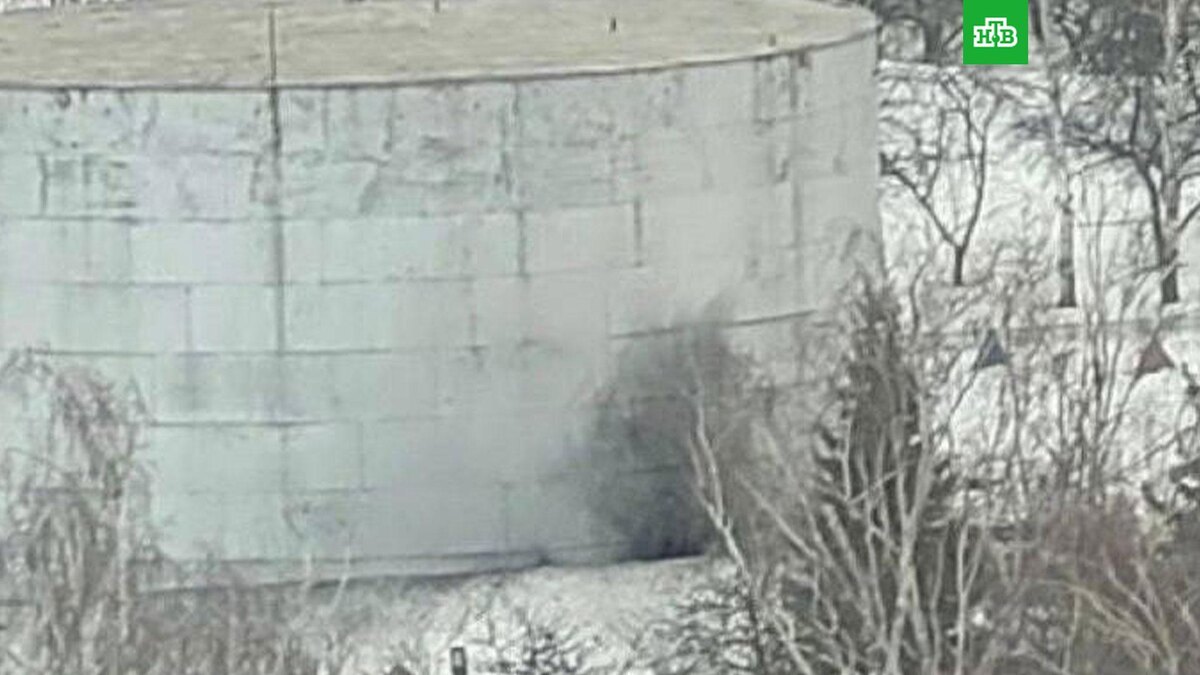    Фото: соцсети