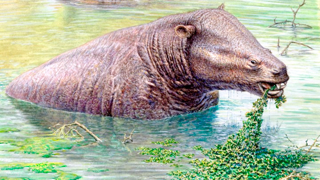 Первые хоботные не были ни большими, ни хоботными.