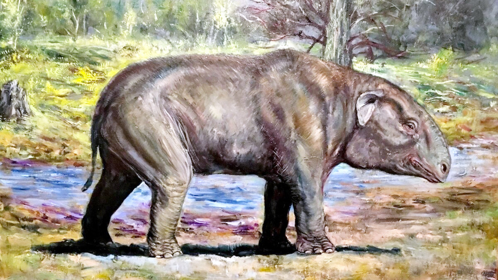 А вот баритерии уже были размером с небольшого слона.