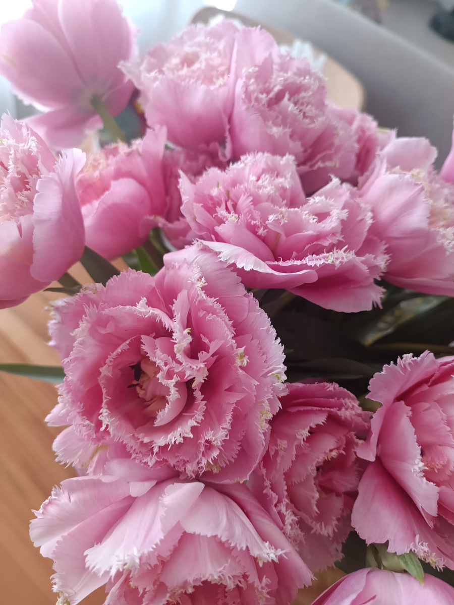 Очень красивые. 💐