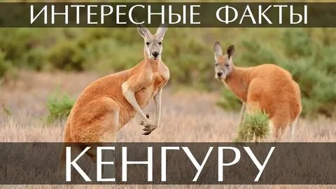                                                 Всем привет.