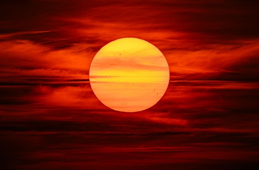     / Источник: © Patrick Pleul/dpa/picture-alliance/ТАСС