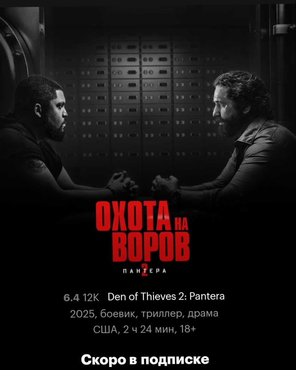 Бывший коп становится гангстером, чтобы свести счеты с обидчиком. Сиквел экшен-триллера с Джерардом Батлером

Большой Ник возвращается на охоту. В этот раз его цель находится в Европе: Донни теперь крутится в коварном и непредсказуемом мире воров и драгоценностей, а также связан со знаменитой мафией «Пантера», с которой планирует грандиозное ограбление крупнейшей в мире алмазной биржи.