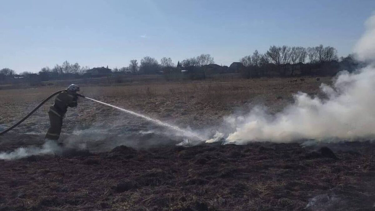    Пожароопасный сезон на подходе: в Курской области за сутки произошло 12 пожаров